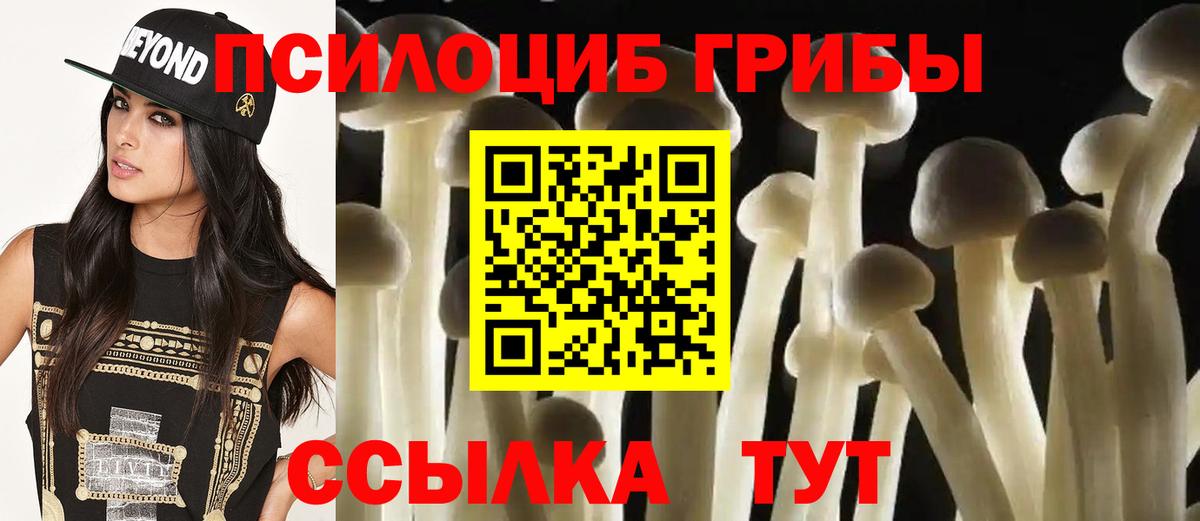 Амурск  Псилоцибиновые грибы MAGIC MUSHROOMS  Вход с VPN 